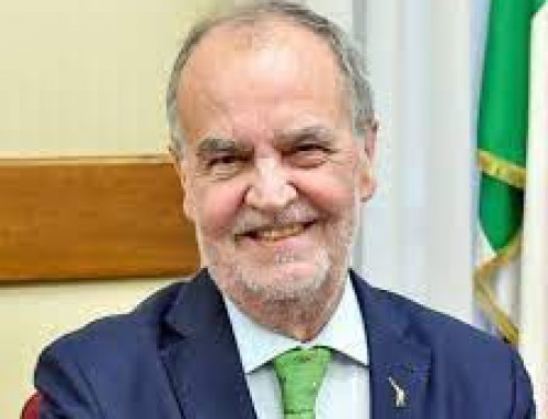 Comunicato stampa  Movimento Neoborbonico  Movimento per il Nuovo Sud